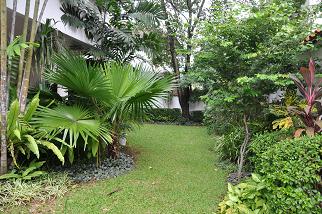 Executive Paradise-4BR- Backyard