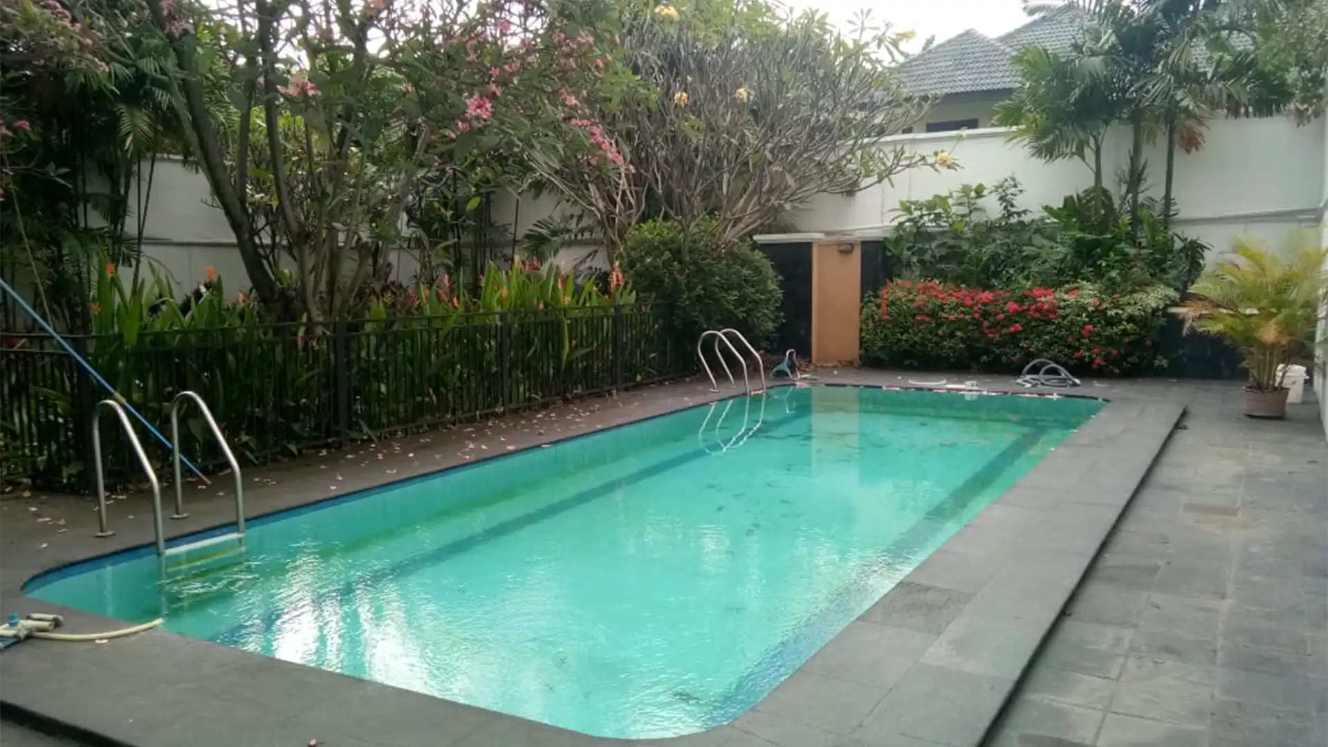 Executive Paradise-5BR- Swimming Pool Executive Paradise-5BR- Swimming Pool