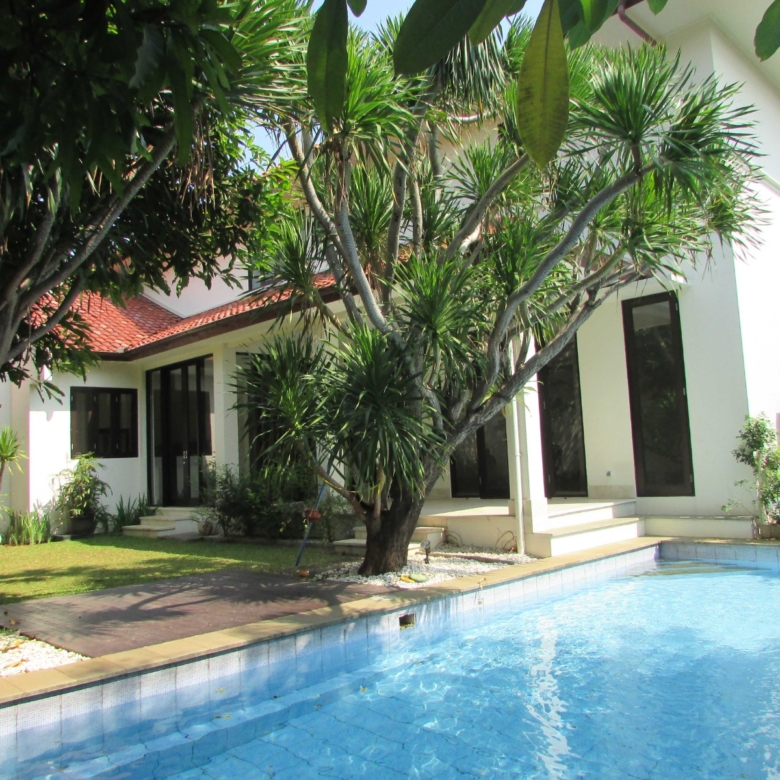 Palm Mansion Kemang - swimming pool