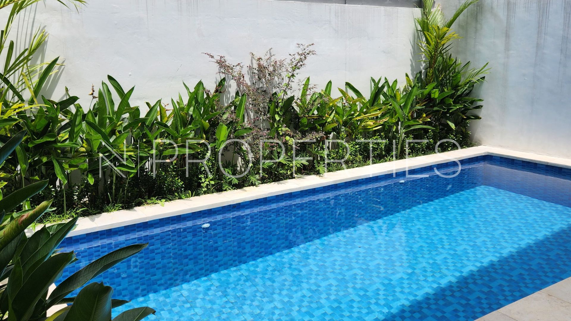 Elegant 3BR Villa in Canggu Bali