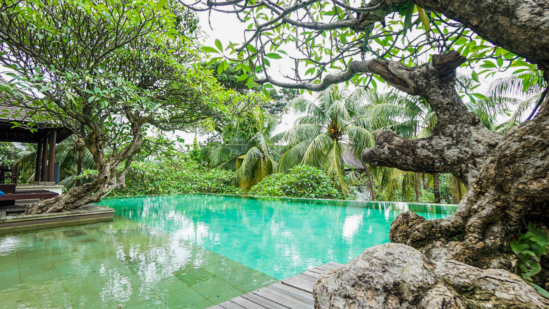 Atmaya – Swimming Pool-5 Prestige 4BR Family Home at Cilandak