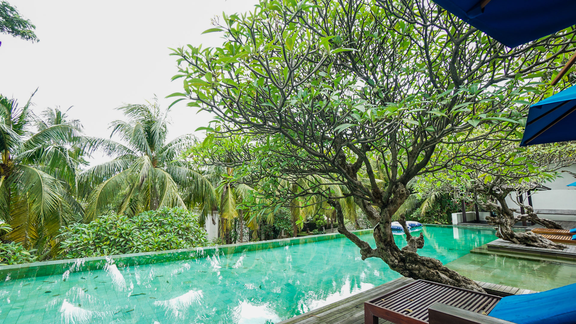 Atmaya – Swimming Pool-6 Prestige 4BR Family Home at Cilandak