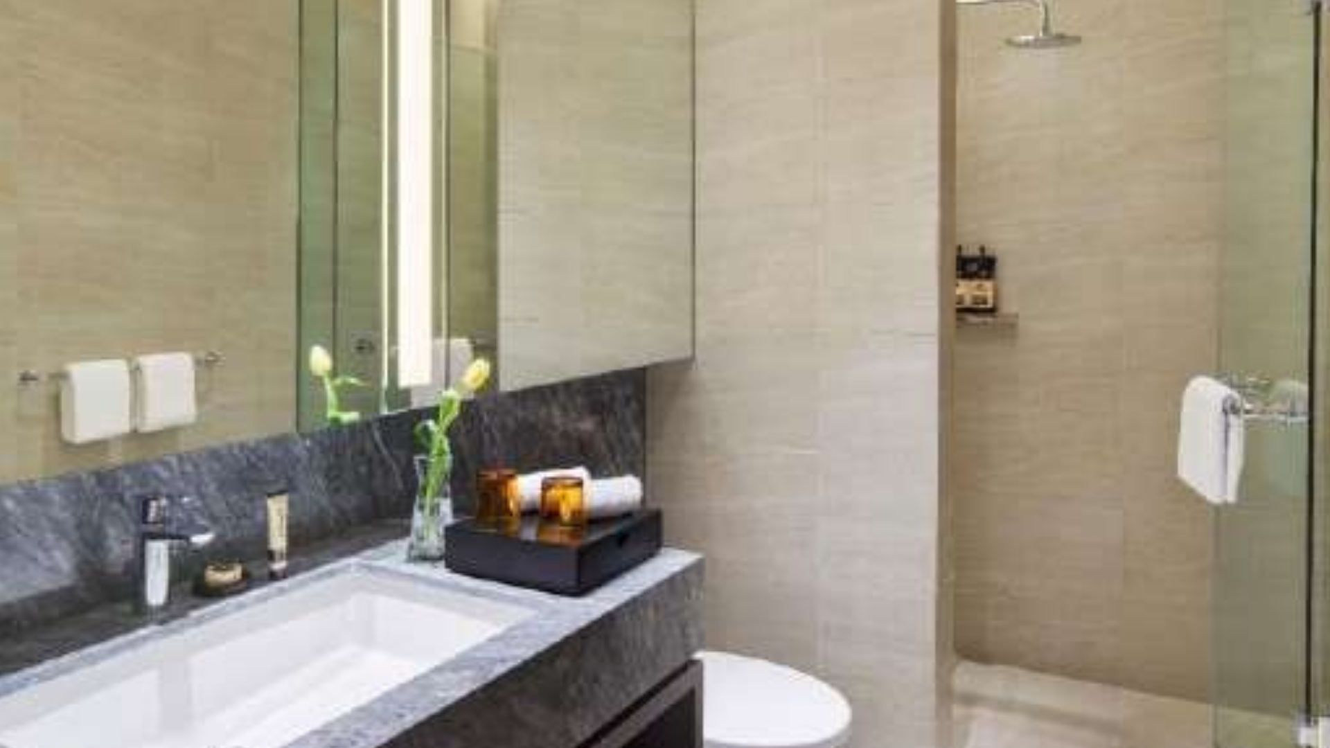 Spacious 1BR Serviced Apartment – PARKROYAL