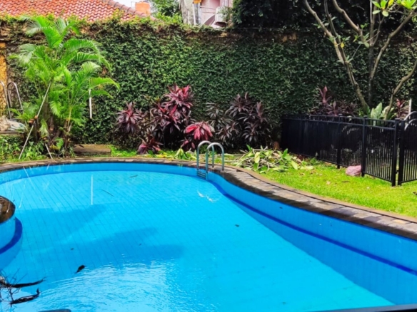 Jeruk Purut No. 59 - Pool