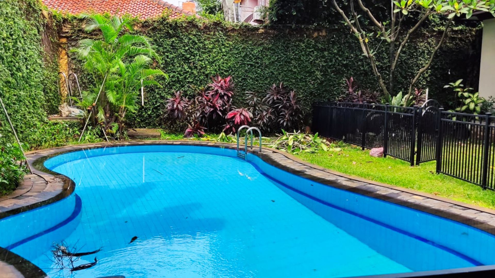 Jeruk Purut No. 59 - Pool