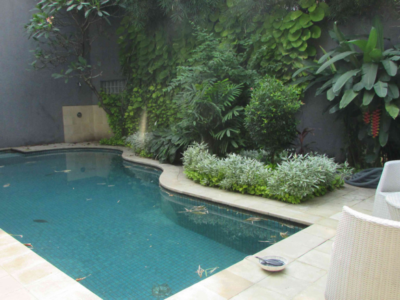 ASEM 2-3BR- SWIMMING POOL & BACKYARD