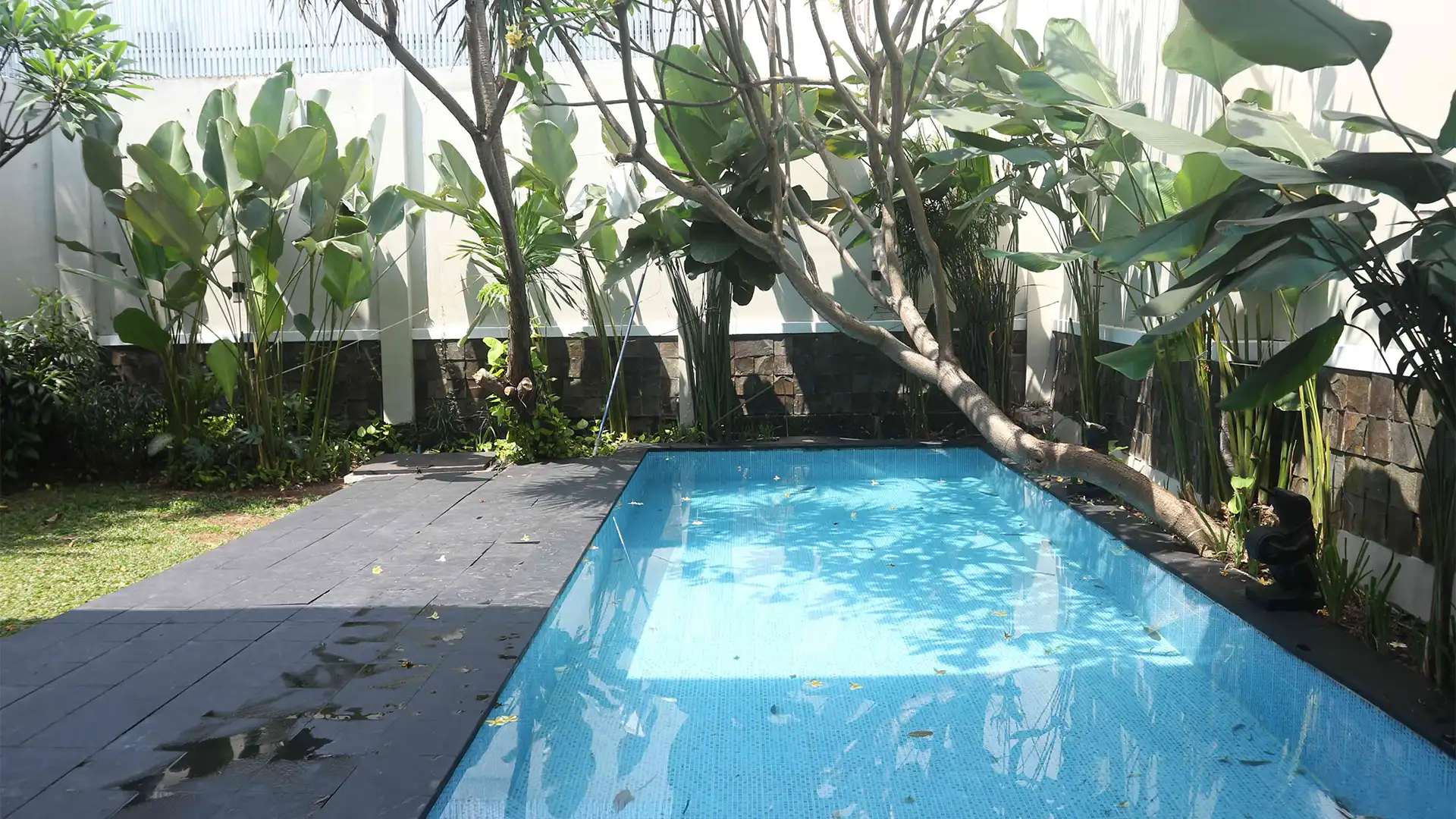 PEJATEN-5BR-SWIMMING POOL Pejaten House – Premium 5BR Home