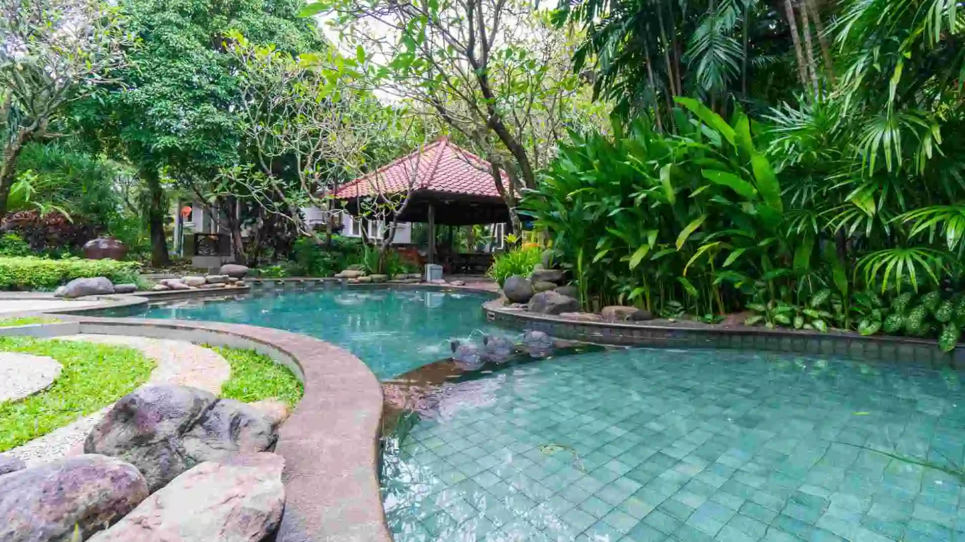 Children's Pool