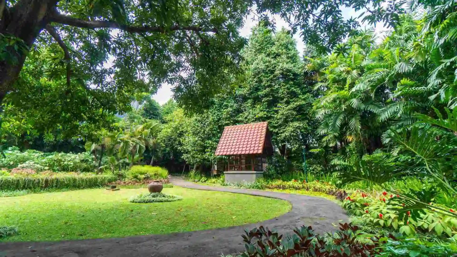 Jogging Track